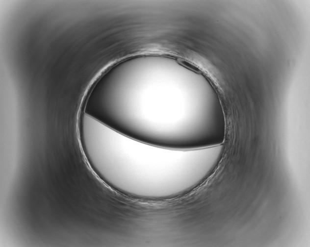 X0000098171476200804240959