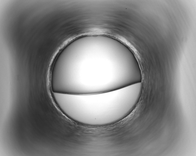 X0000098171477200804240959