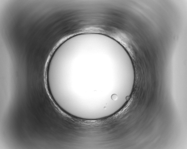 X0000098171478200804240959