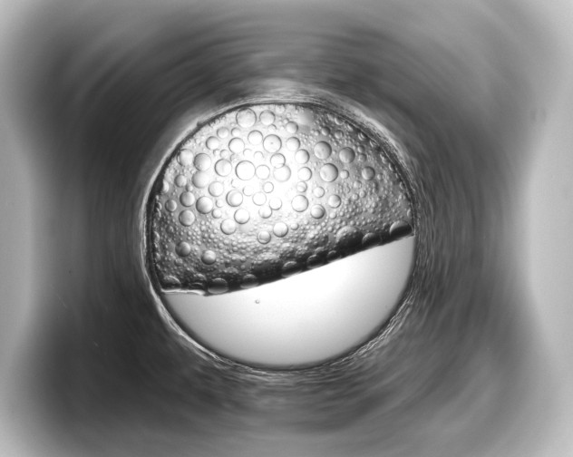 X0000098171479200804240959