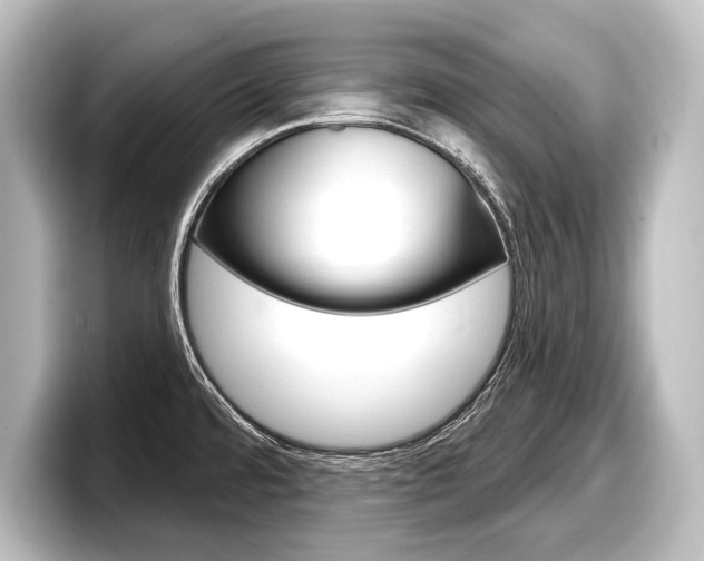 X0000098171480200804240959