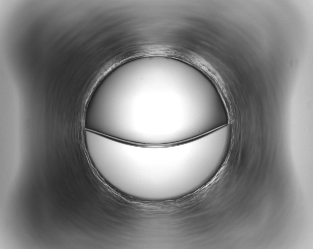 X0000098171481200804240959