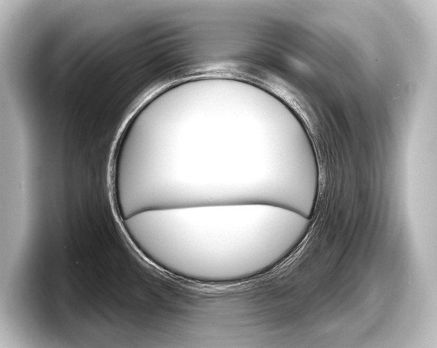 X0000098171482200804240959