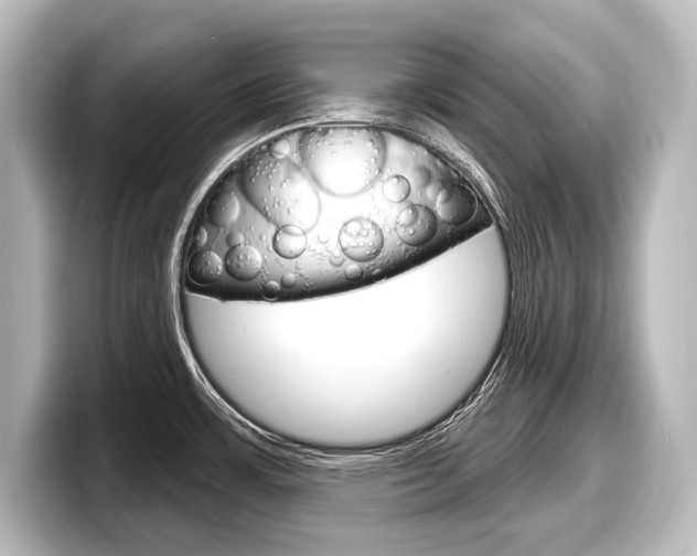 X0000098171483200804240959