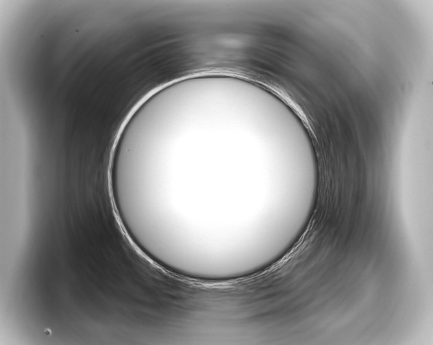 X0000098171484200804240959