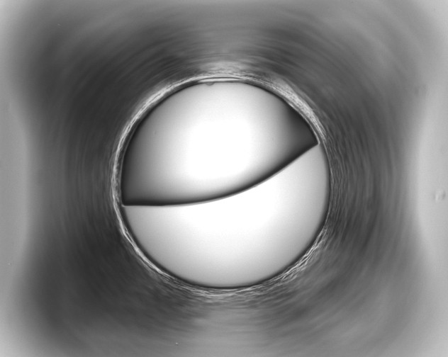 X0000098171485200804240959