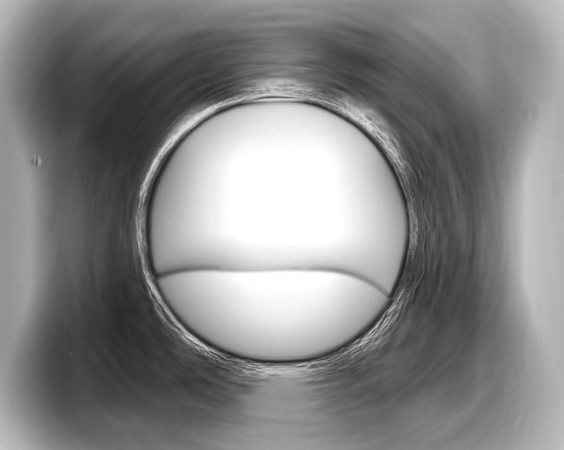 X0000098171486200804240959