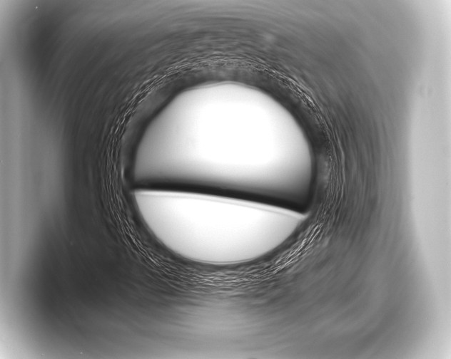 X0000098171489200804240958