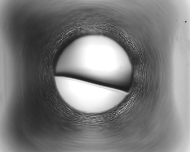 X0000098171490200804240958