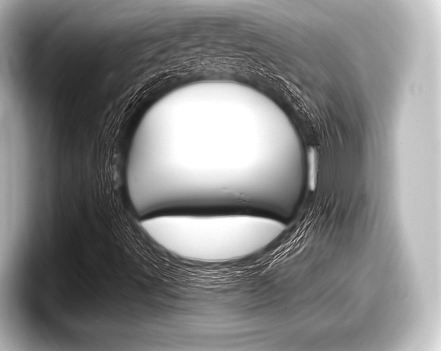 X0000098171491200804240958