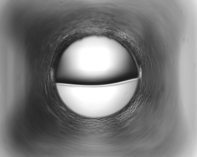 X0000098171492200804240958