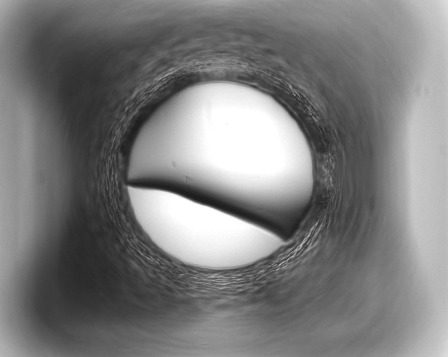 X0000098171493200804240958