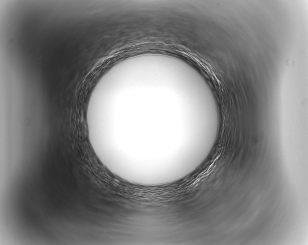 X0000098171494200804240958
