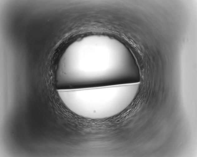 X0000098171495200804240958