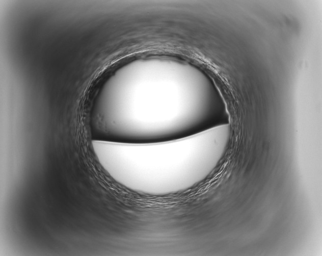 X0000098171496200804240958