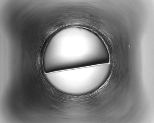 X0000098171497200804240958