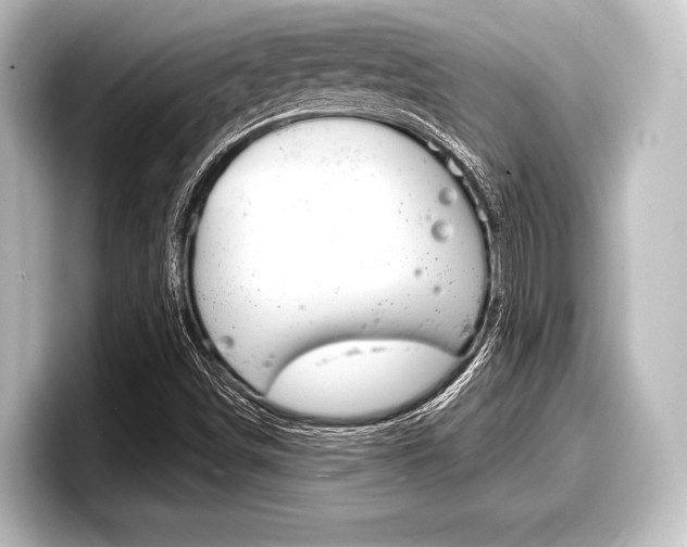 X0000098171498200804240958