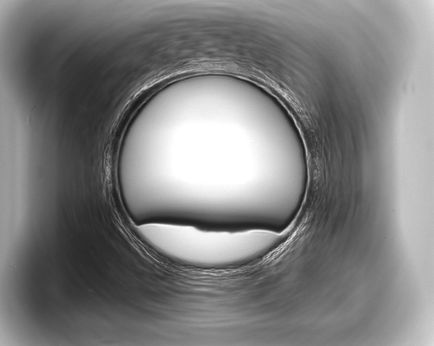 X0000098171499200804240958