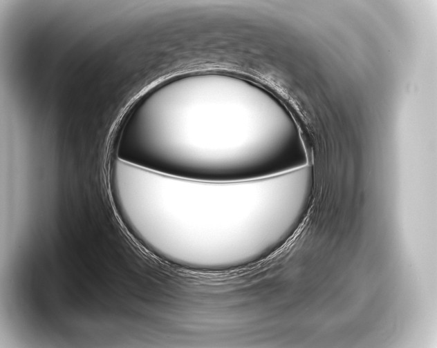 X0000098171500200804240958