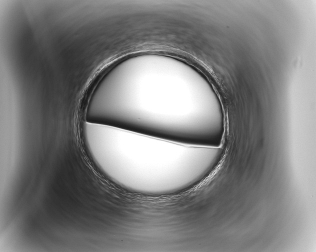 X0000098171501200804240958