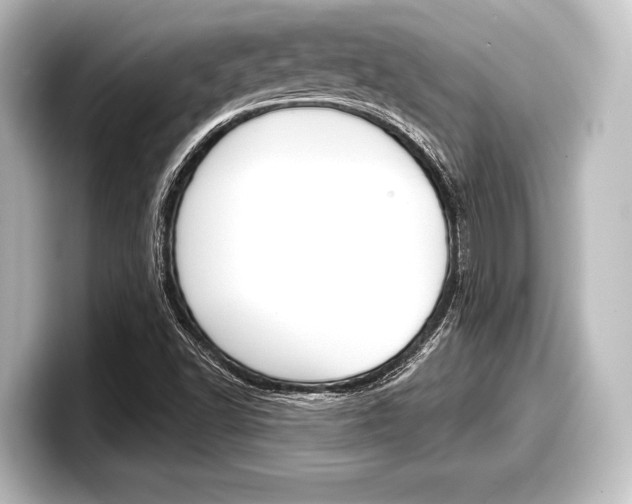 X0000098171502200804240958