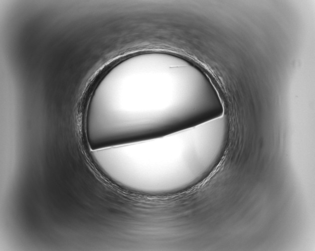 X0000098171503200804240958