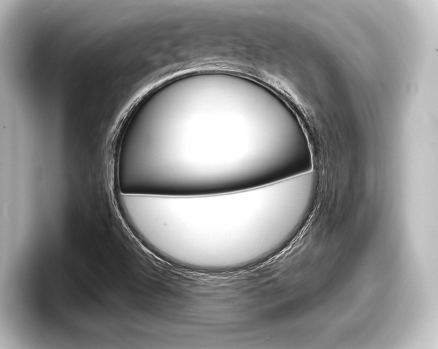 X0000098171504200804240958