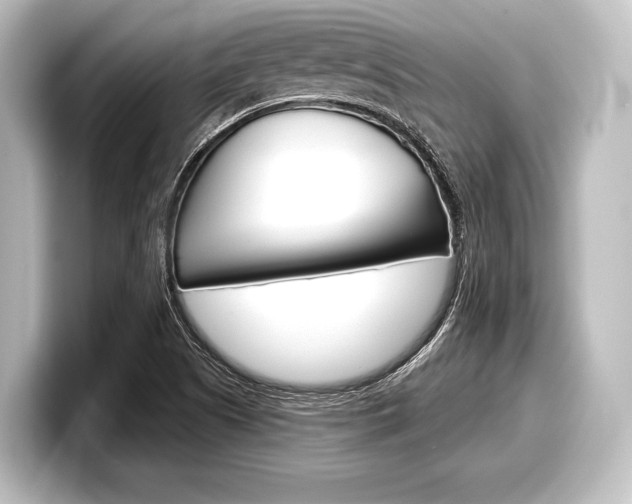 X0000098171505200804240958