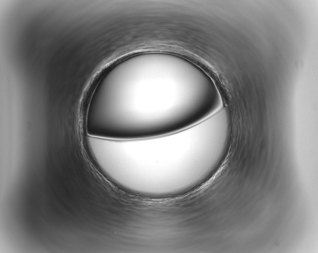 X0000098171506200804240958