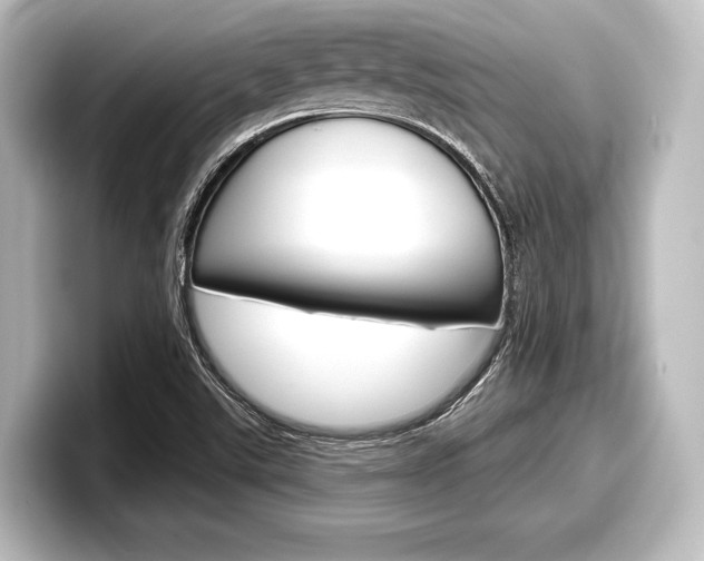 X0000098171507200804240958