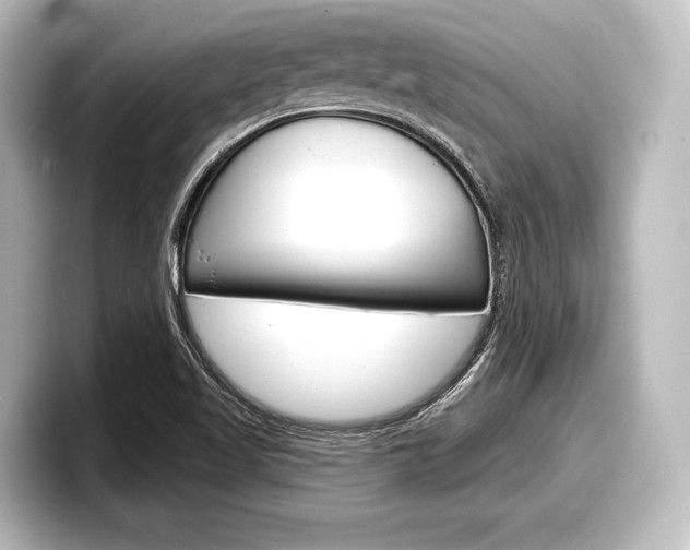 X0000098171509200804240958