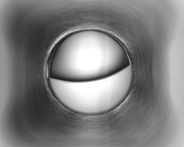 X0000098171510200804240958