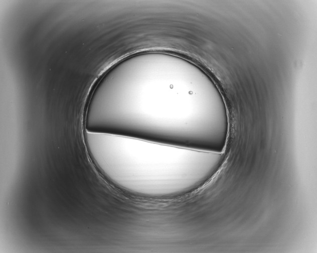 X0000098171513200804240958