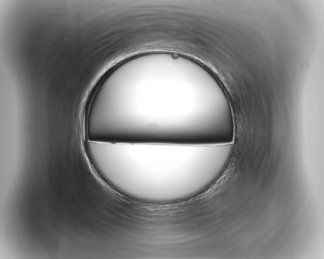 X0000098171515200804240958