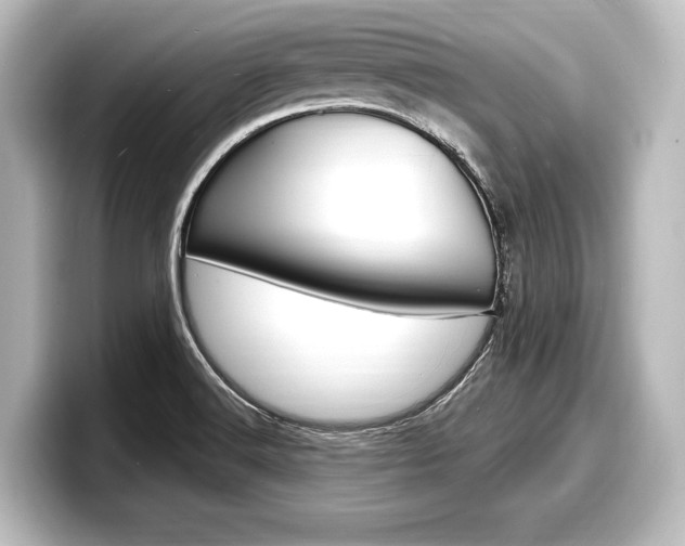 X0000098171516200804240958