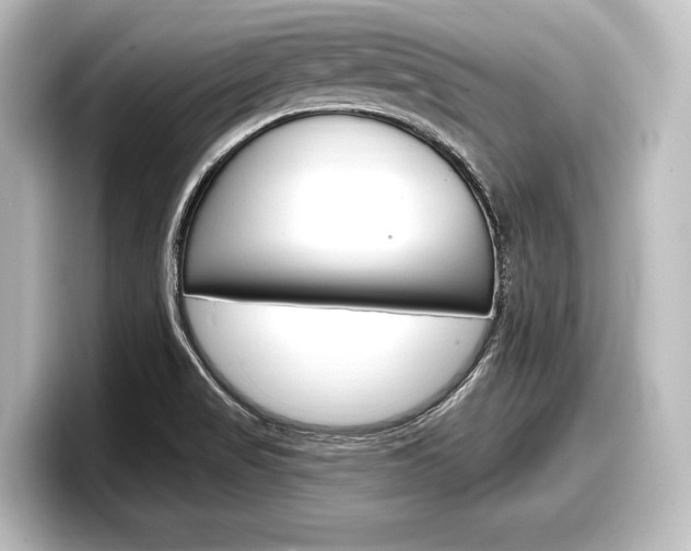 X0000098171517200804240958