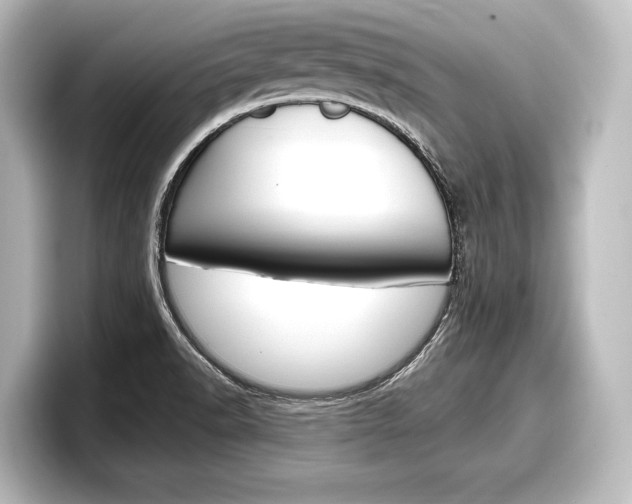 X0000098171518200804240958