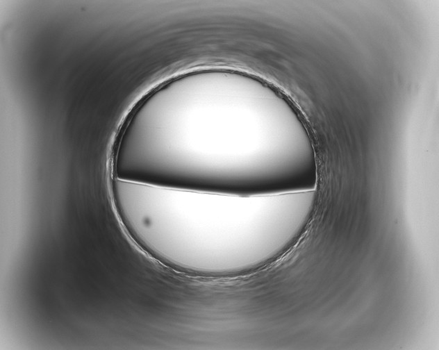 X0000098171519200804240958