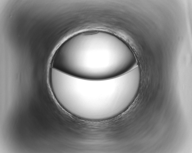 X0000098171520200804240958