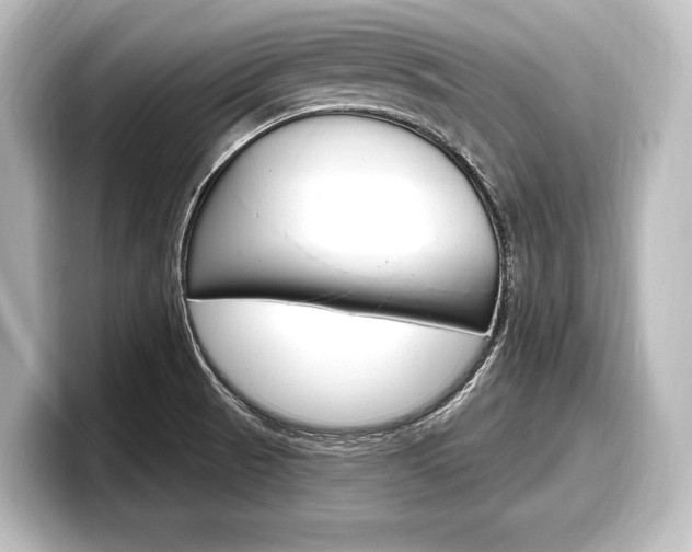 X0000098171521200804240958