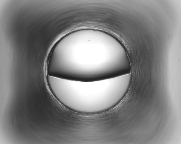 X0000098171522200804240958