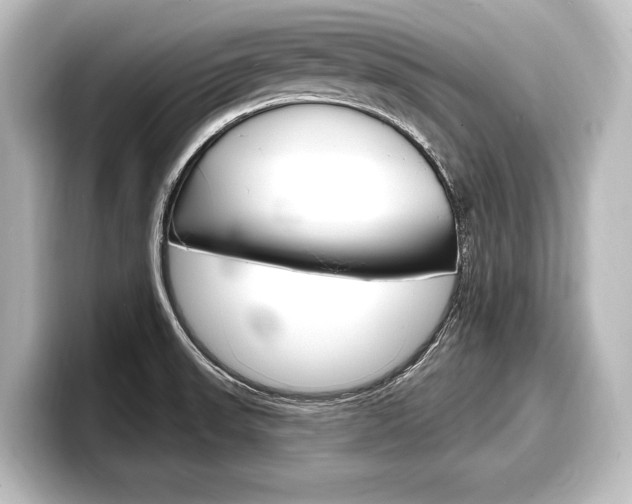 X0000098171523200804240958