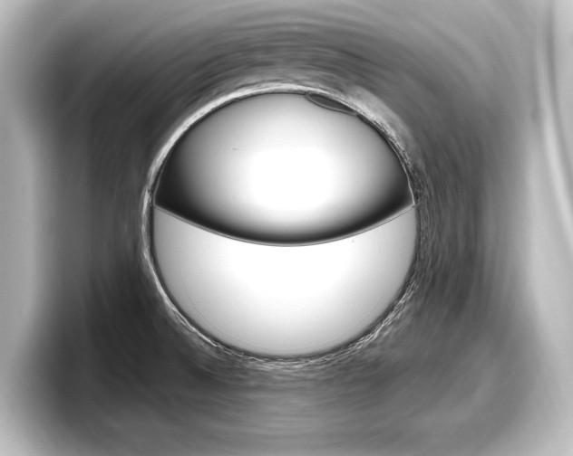 X0000098171524200804240958