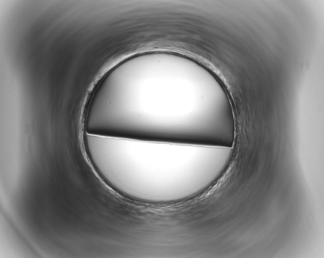 X0000098171525200804240958