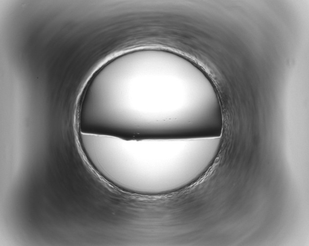 X0000098171526200804240958