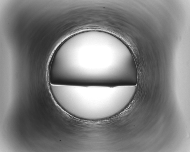 X0000098171527200804240958
