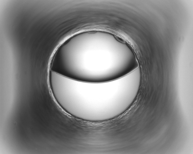 X0000098171528200804240958