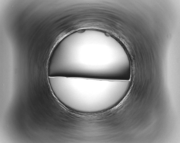 X0000098171529200804240958