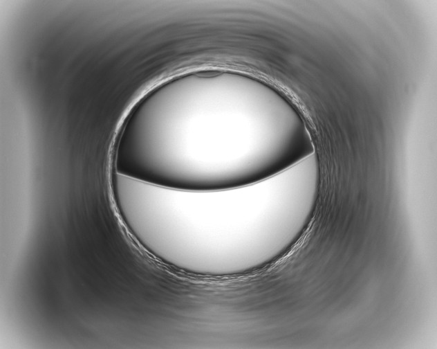 X0000098171530200804240958