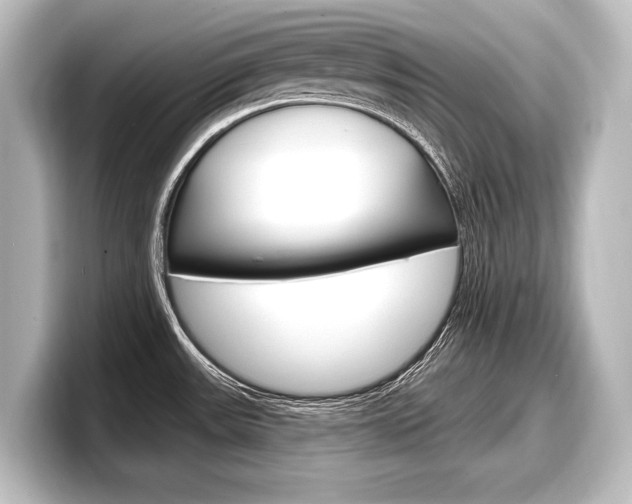 X0000098171531200804240959
